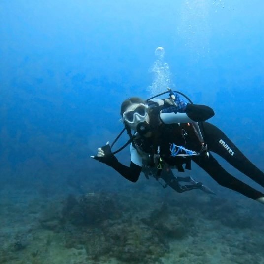 Nina Bachich diving